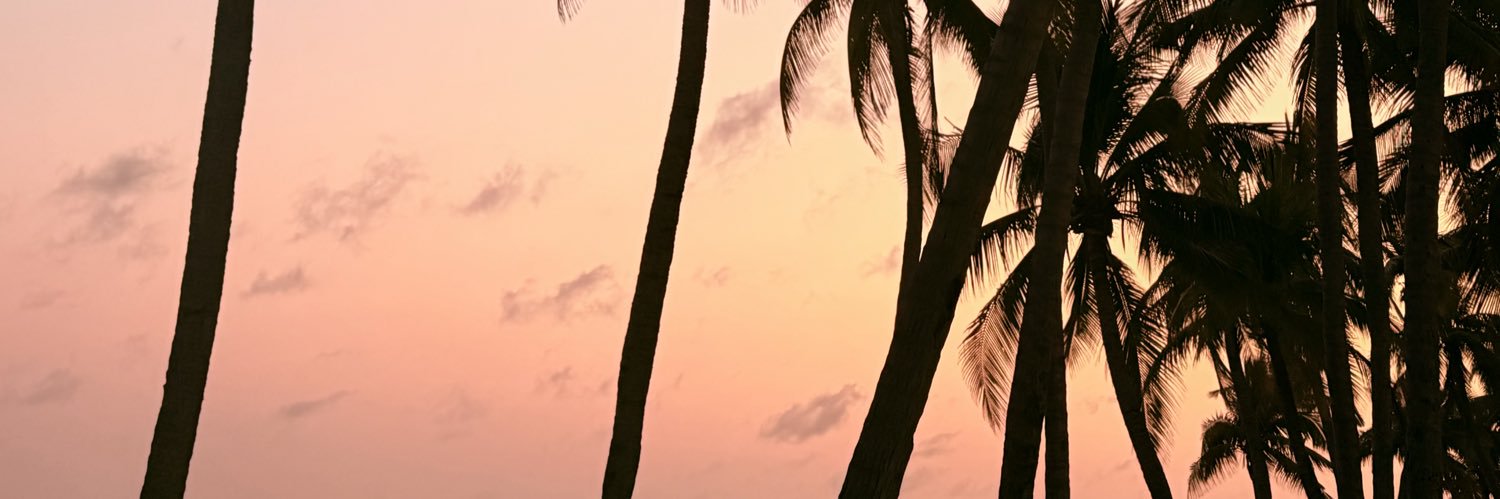 Tie Dan's banner