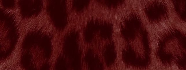 Kiara's banner