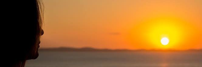 Lily's banner