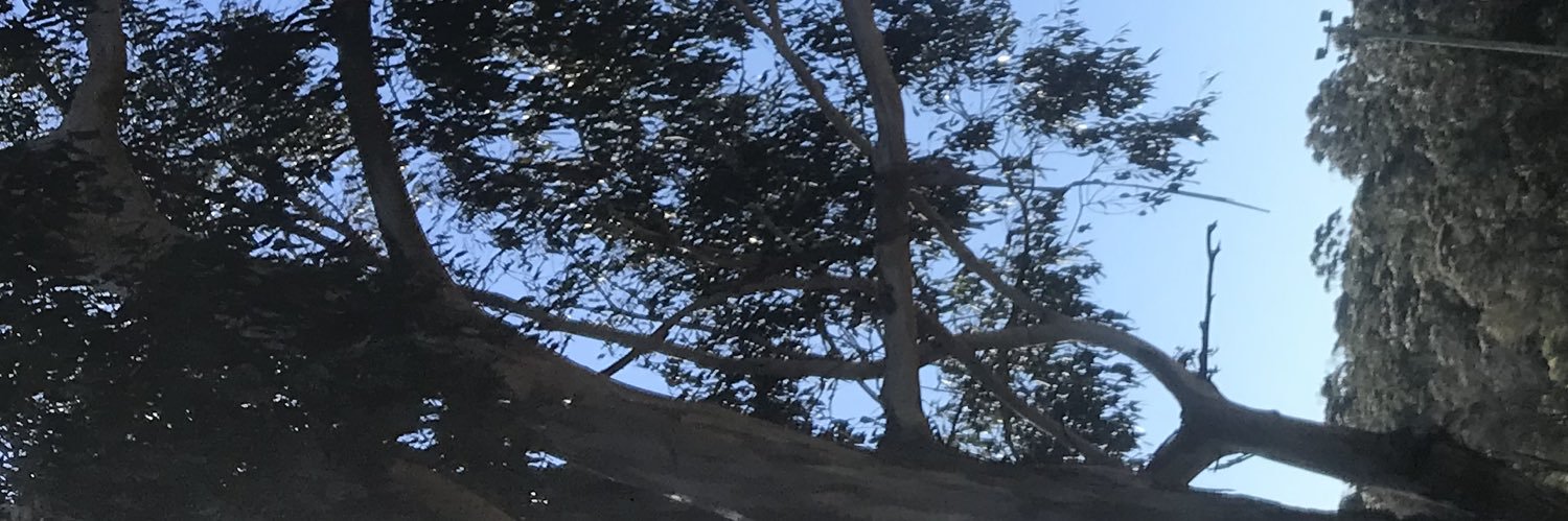 Natural's banner