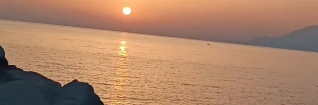 Cemre 🕊️'s banner
