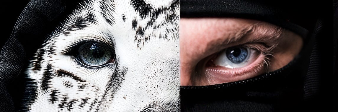 JAGUAR SKILLS ❌'s banner