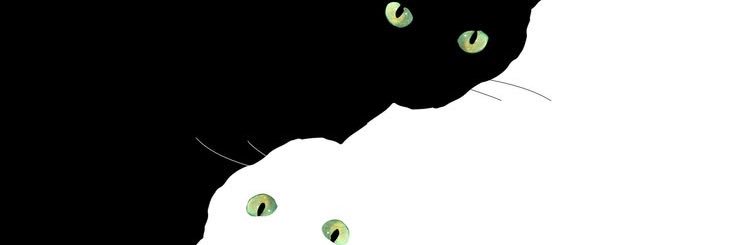 ꜱʜɪᴏɴ💐's banner