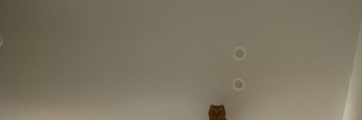 째무's banner