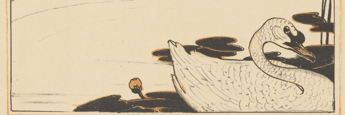 ˢᵐᵃˡˡ𝗽𝘂𝗱𝗱𝗹𝗲 𝘀𝘄𝗮𝗻🦢's banner