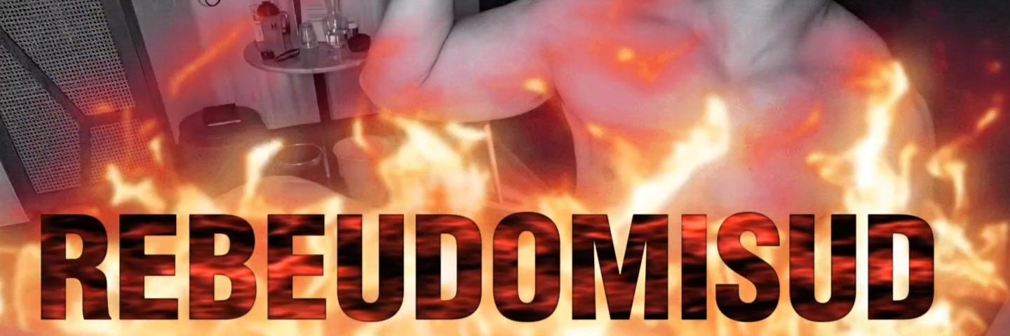 REBEUDOMISUD's banner