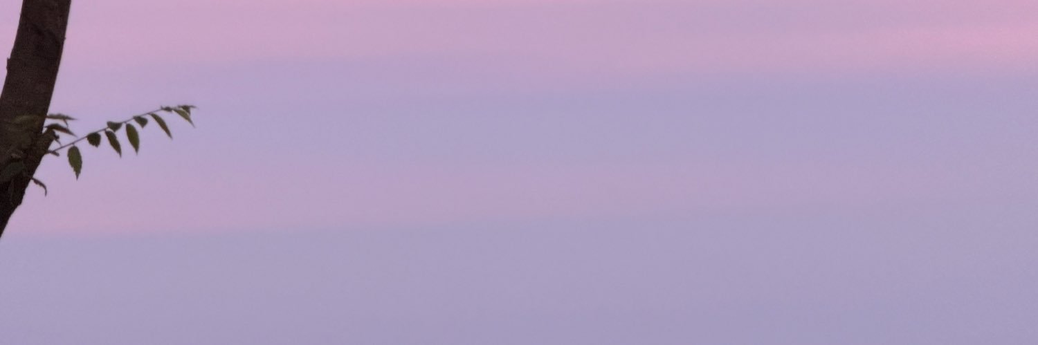 ✿ PUPE's banner