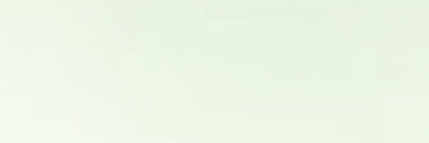 규규 커닐 오프🐳's banner
