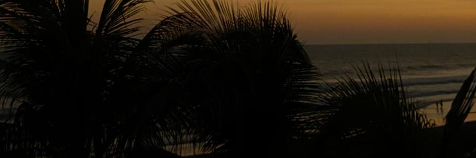 Alejandra Izaguirre's banner