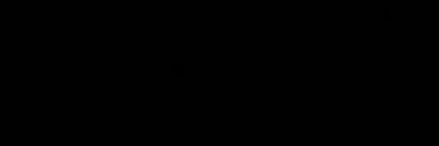 Conquistador's banner