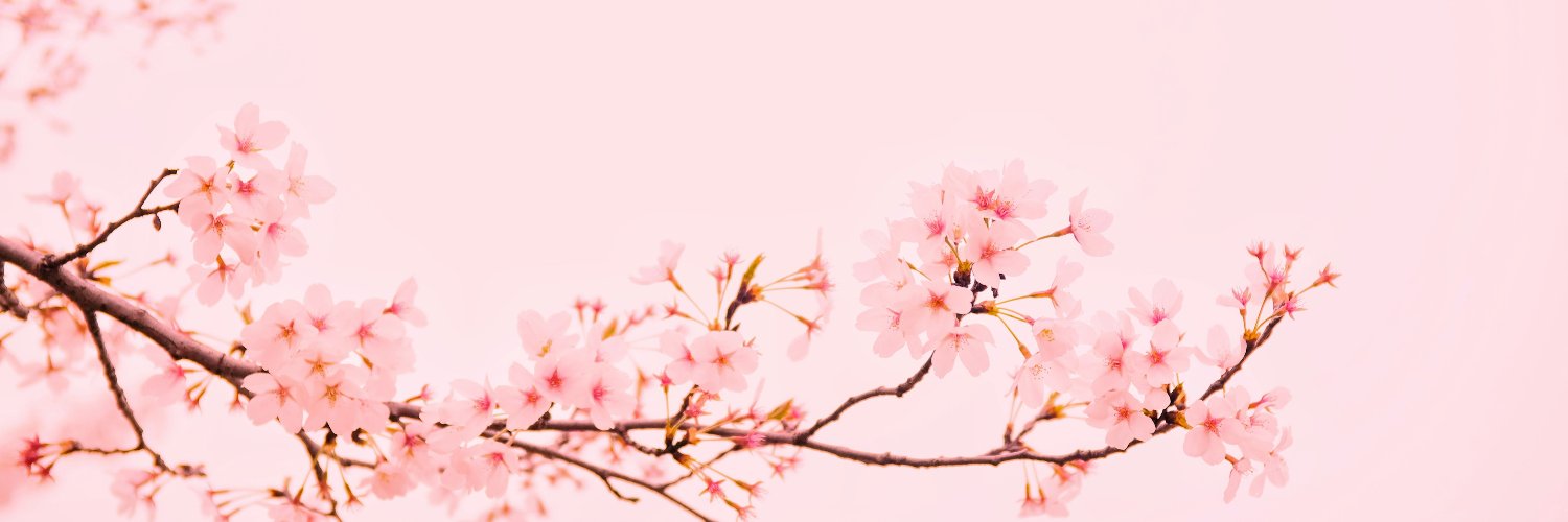 sasha's banner