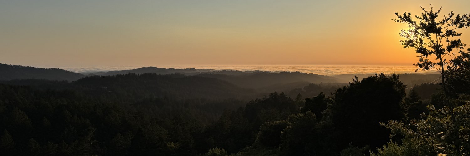 koa's banner