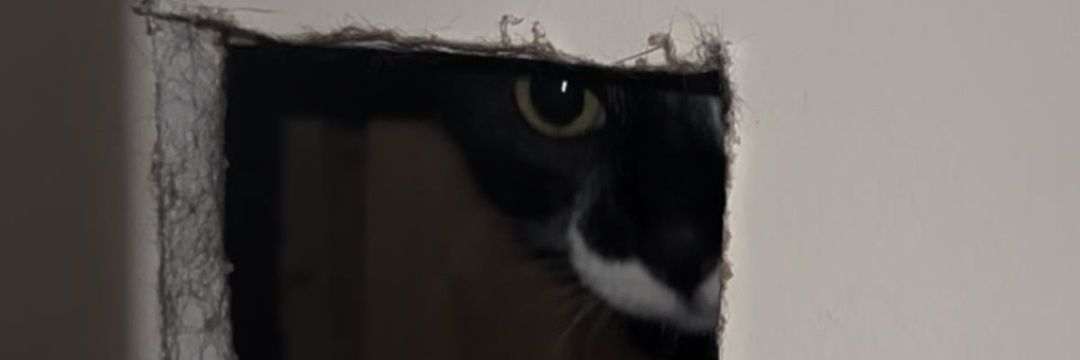 miss's banner