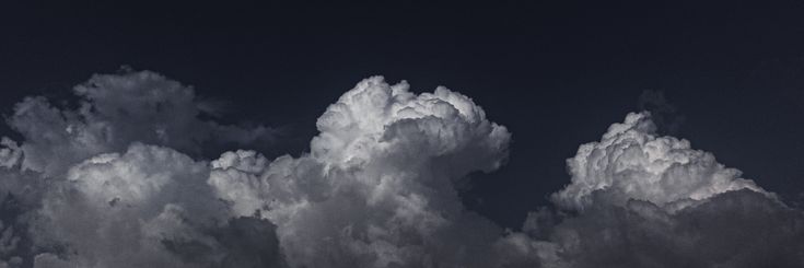 تاليا's banner