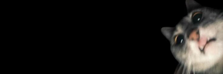 gyuuvin's banner