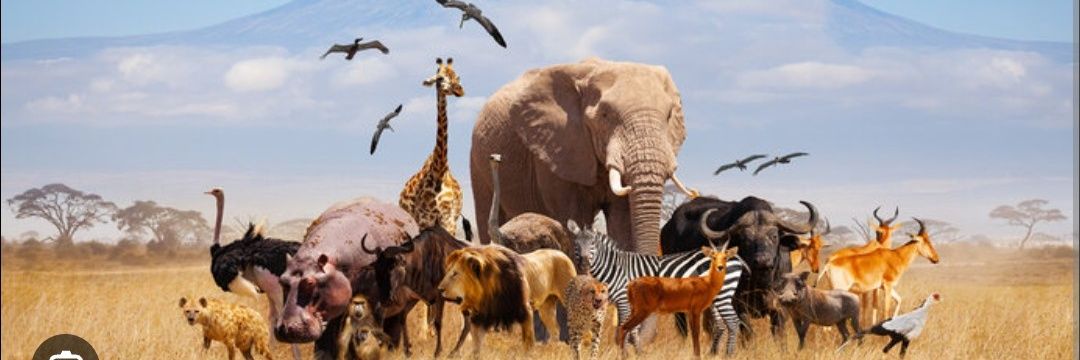 nature is smart's banner
