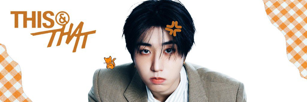 ˙ . ꒷melly & that 𖦹 VAI VER O SKZ DNV's banner