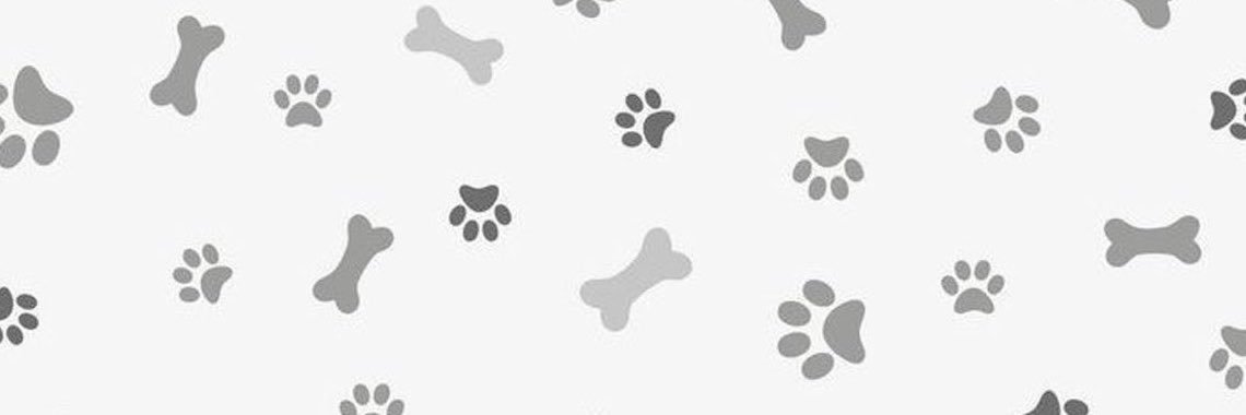 your puppy boy's banner