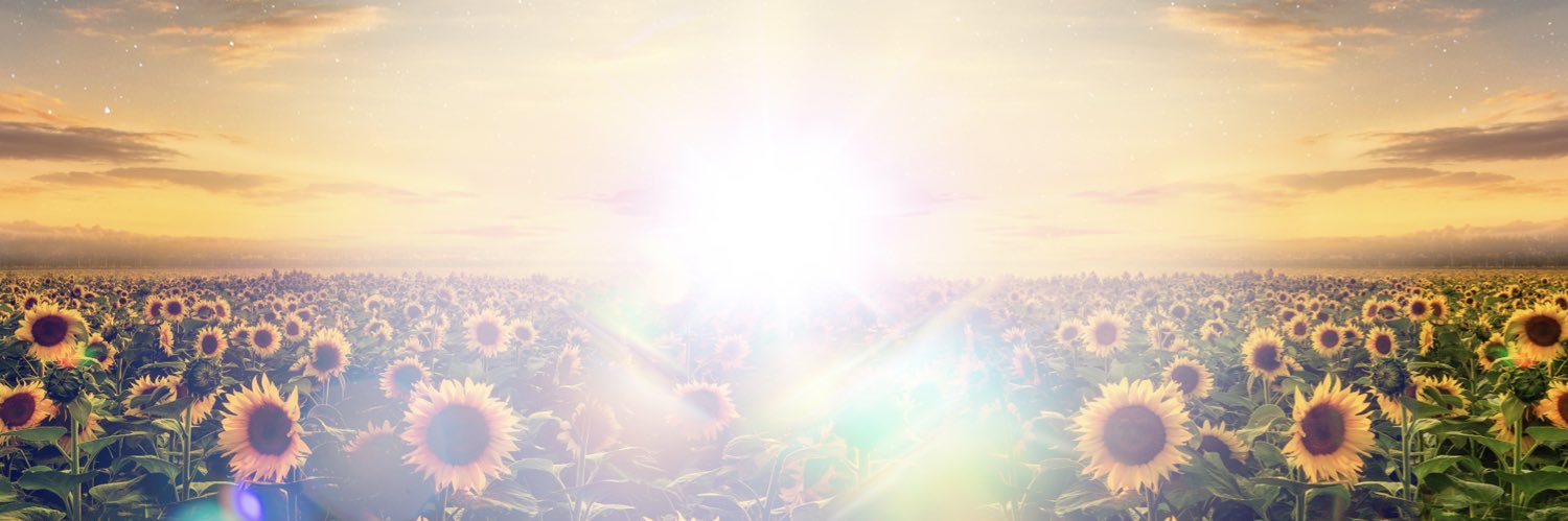 FANTASTICS LIVE info 🌻's banner