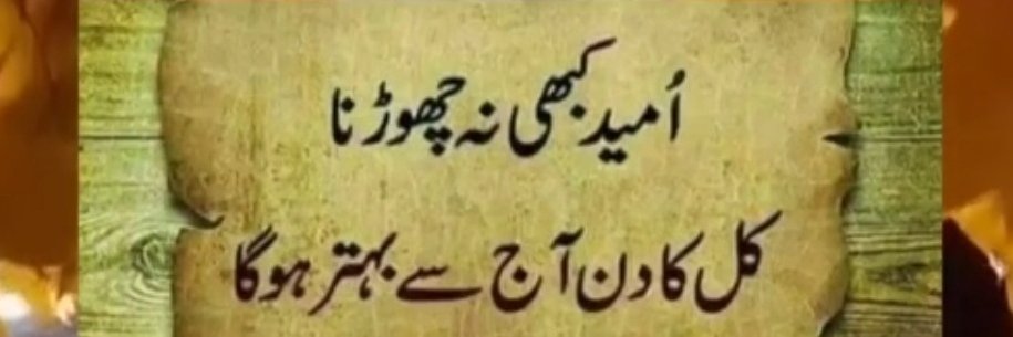 Sultana Saleem's banner