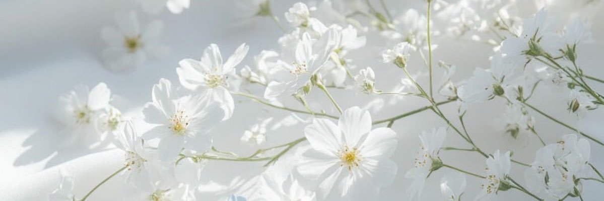 りり's banner