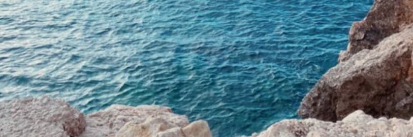 Violette🌸's banner