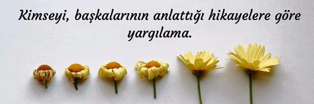 BİRİCİK's banner