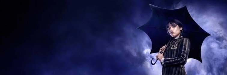 2029 🔥's banner