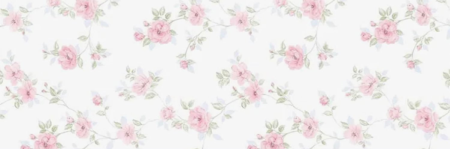 Princess Amira's banner