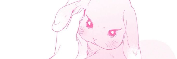 lexi's banner