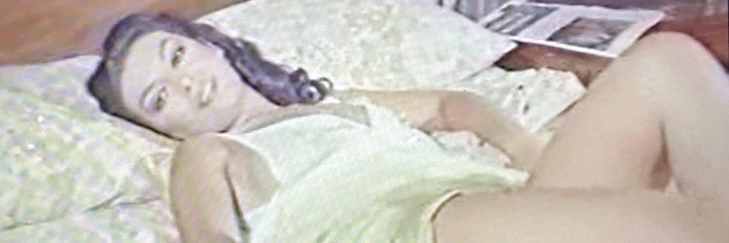 zerrin egeliler fan's banner