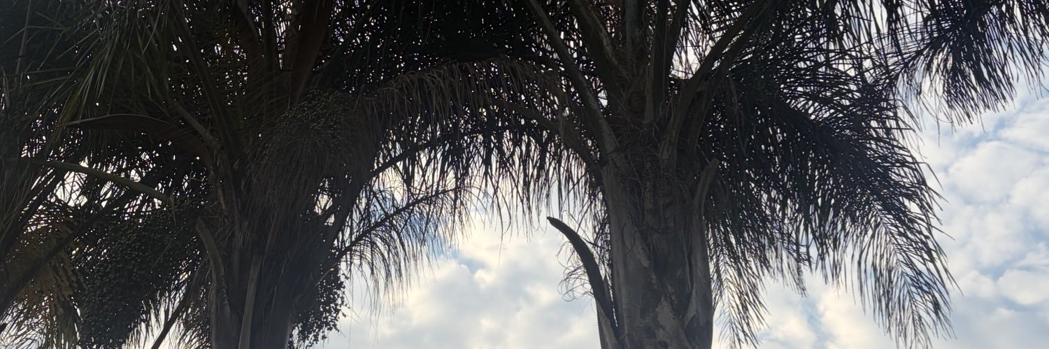 alex's banner
