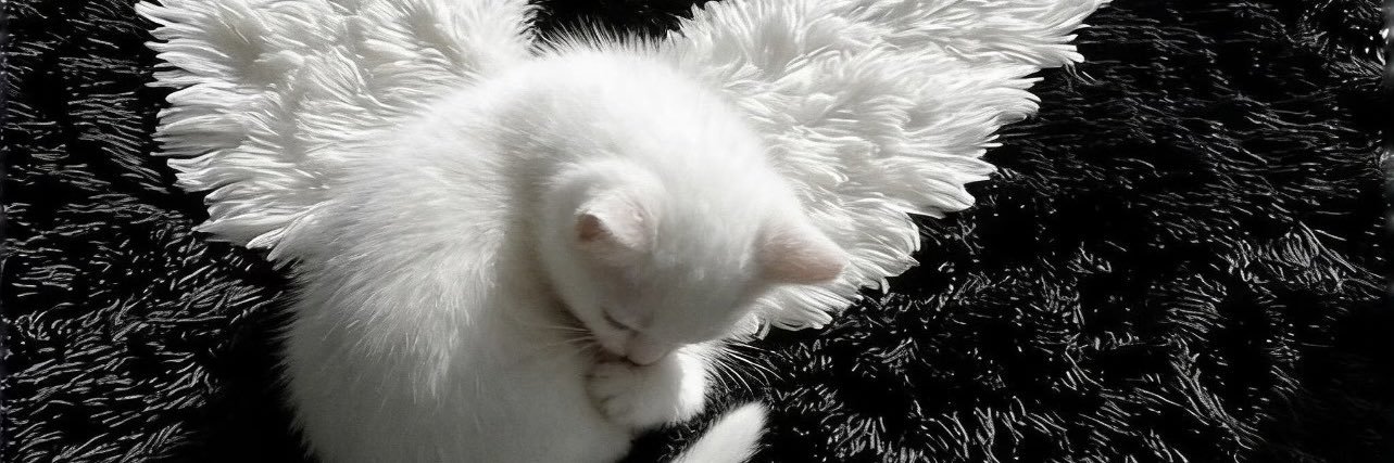 KKcatyumi's banner