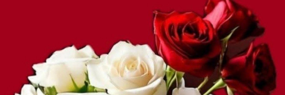 🦜Yenìden Doģuş🐞's banner