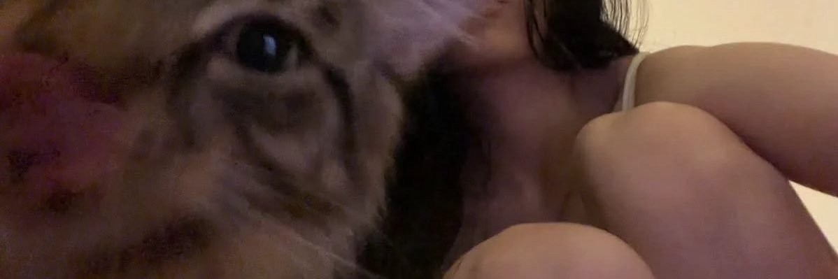 jin ᥬᩤ (tired)'s banner