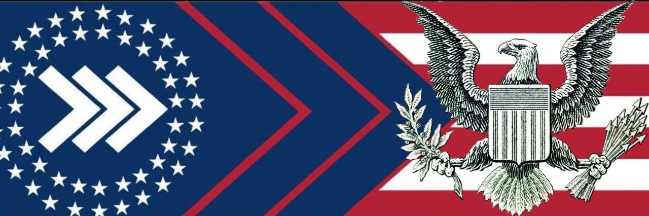National Socialist American Workers’ Party's banner