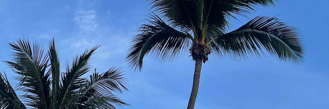 BigName_DD's banner