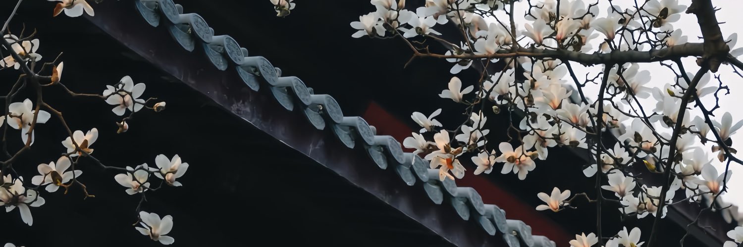 🪐's banner