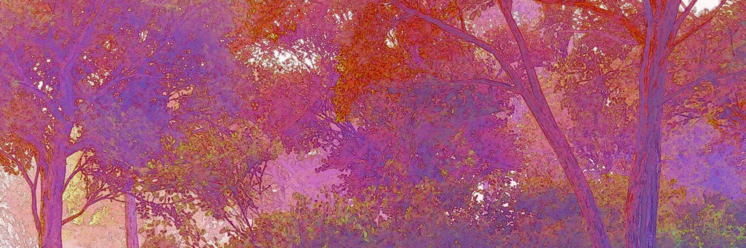 ⋆˚ 𝙳𝚎𝚊𝚛𝚎𝚜𝚝 𝙳𝚎𝚌𝚎𝚖𝚋𝚎𝚛, ˖°'s banner