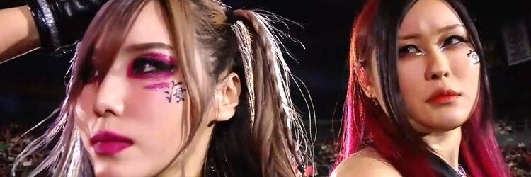 Shiny_Models🖤🩶✨'s banner