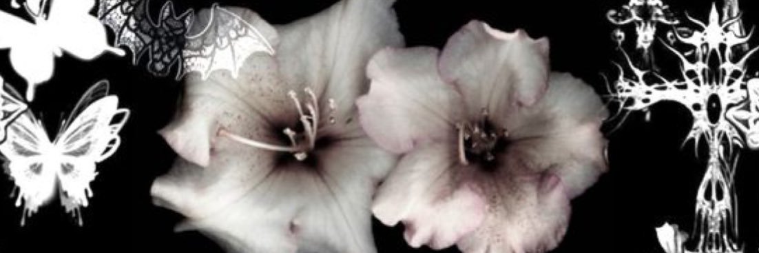 𝓹𝓻𝓲𝓷𝓬𝓮𝓼𝓼 leyna's banner