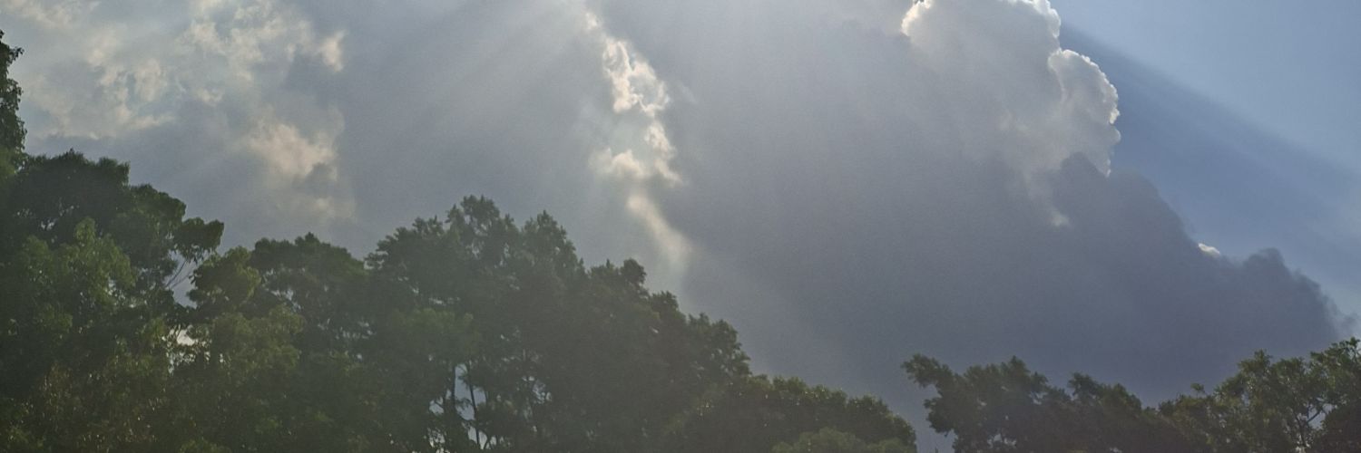 𝔒𝔰𝔠𝔞𝔯 𝔠𝔩𝔦𝔭𝔰's banner