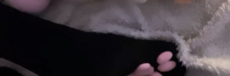 dominant goddess's banner