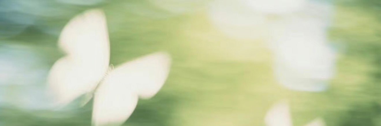 烤火鸟's banner