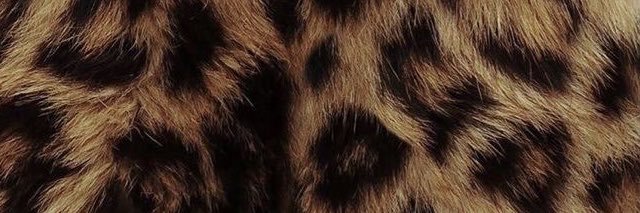 Déa ౨ৎ #DeathInBliss's banner