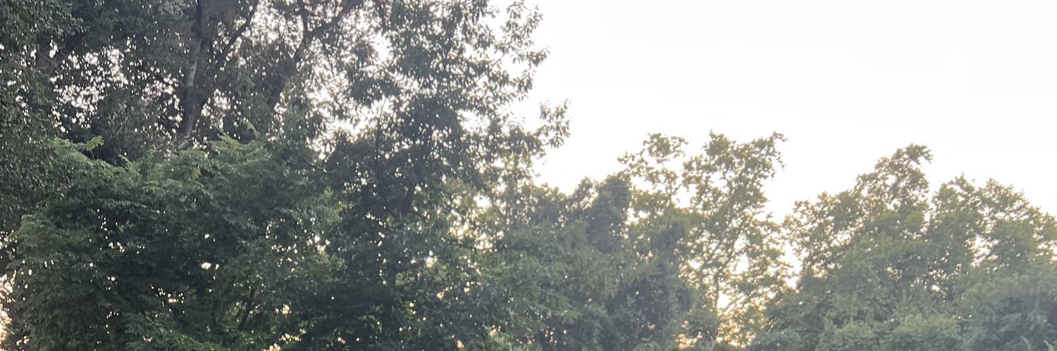 Alan (alpha dad) 🦶's banner