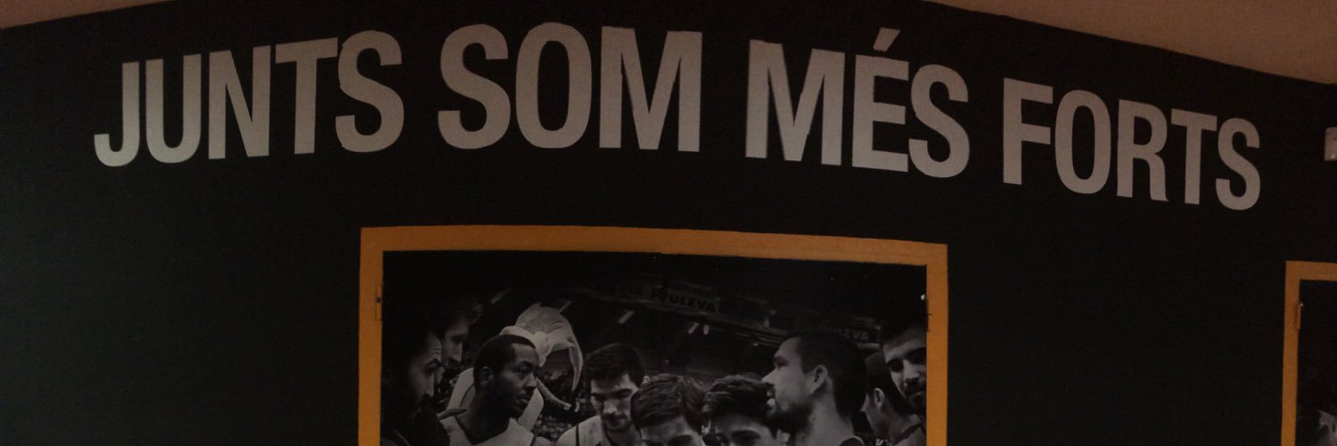 Javi Vilaplana's banner