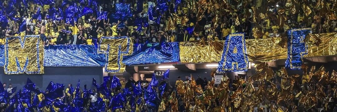 שני שטרן's banner