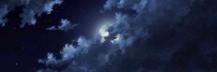Lance's banner