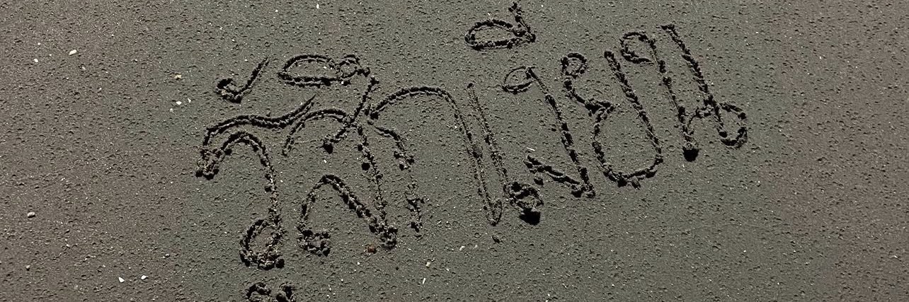 S_x's banner